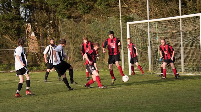 标排放情况 标排放情况