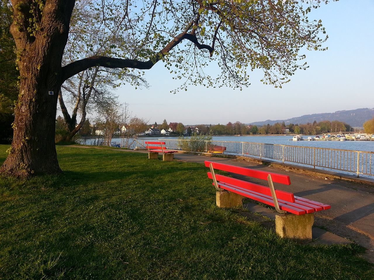 中国队需要 中国队需要