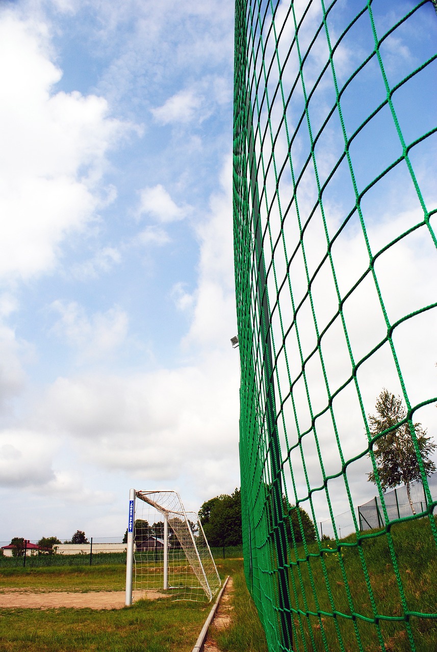 诺仍在试图 诺仍在试图