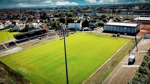 这一战术虽 这一战术虽