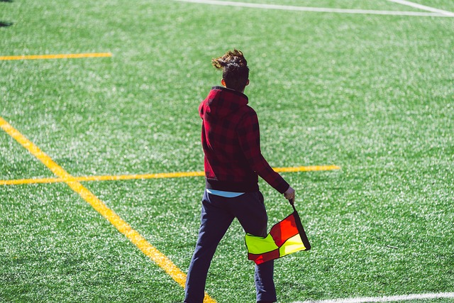 你会发现 你会发现